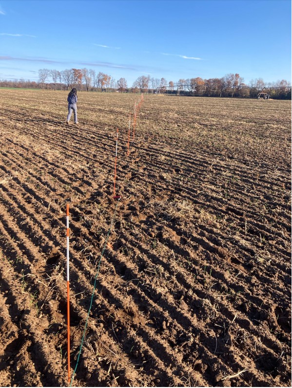 Irrigation report person walking in field .jpg